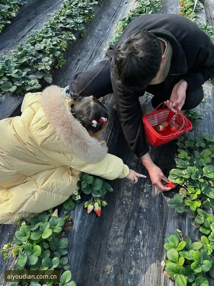 揭秘8号种子暴打黑马背后：05后首人法网封后，一细节让很多人没想到