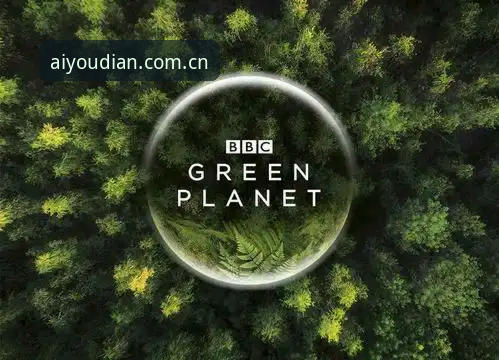 爱游戏558A升级入口变更评测 BBC纪录片《改变年轻男性的游戏规则》深度评测:索斯盖特如何用足球重塑一代人的身份认同
